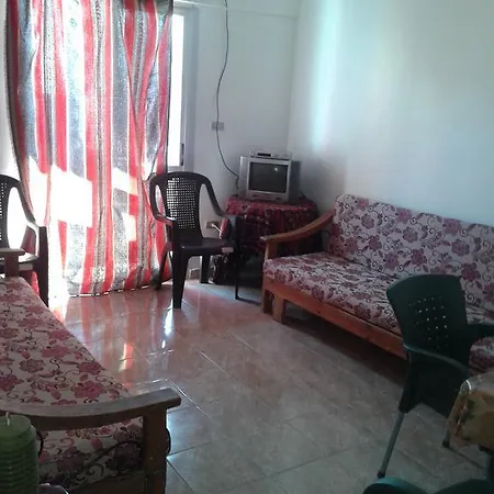 شقة شاطيء النخيل -بالما كورت Alexandria Room photo