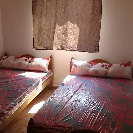 شقة شاطيء النخيل -بالما كورت Alexandria Room photo